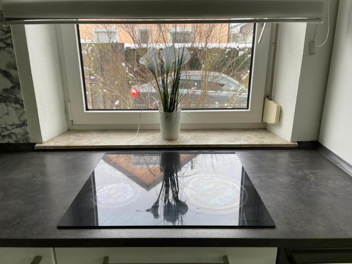 Guntia Apartment Mit Grossem Garten 金茨堡 外观 照片